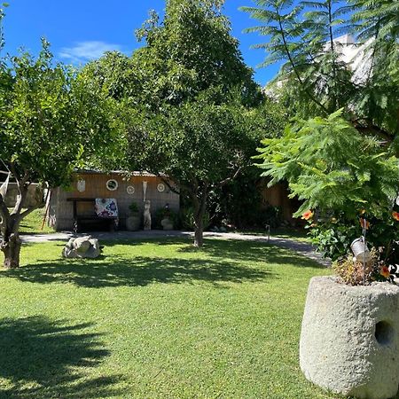 Garden Apartments Ischia Super Centrale Forio di Ischia Kültér fotó
